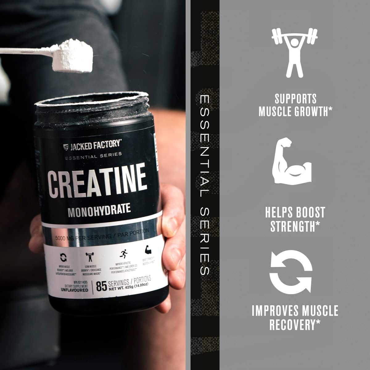 Creatine Monohydrate Powder 425G - Creatine Supplement for Muscle Growth, Increased Strength, Enhanced Energy Output and Improved Athletic Performance 85 Servings, Unflavored