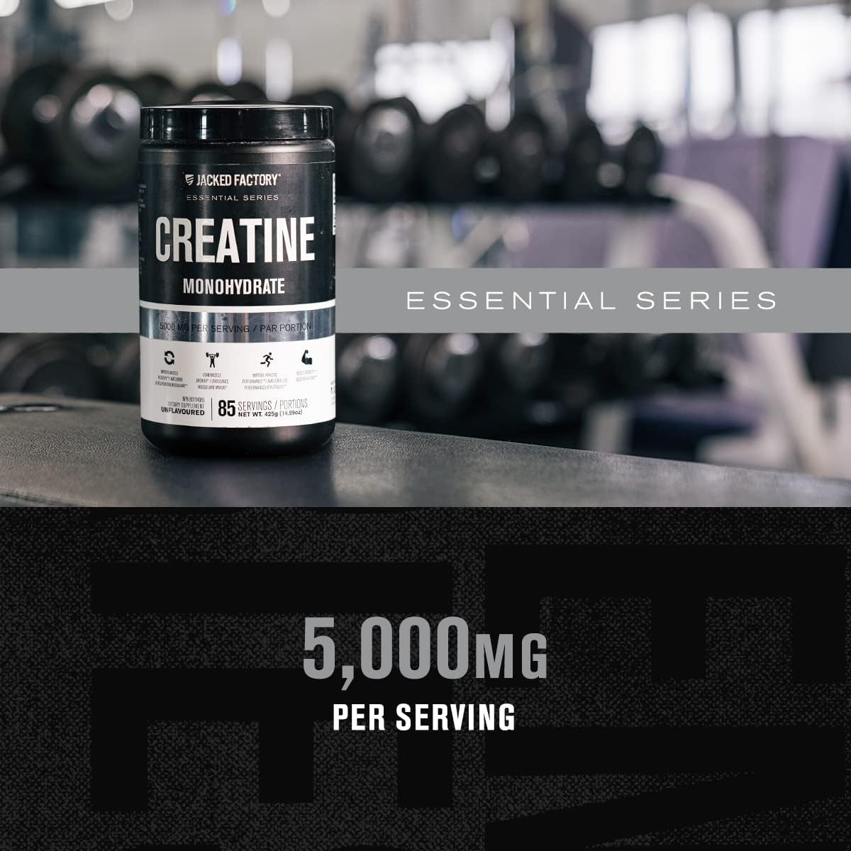 Creatine Monohydrate Powder 425G - Creatine Supplement for Muscle Growth, Increased Strength, Enhanced Energy Output and Improved Athletic Performance 85 Servings, Unflavored